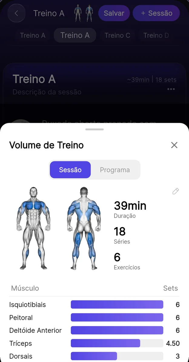 Volume de treino por grupo muscular no app Premium Coach — mapa muscular e séries por músculo